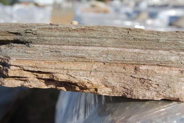 Beige Quartzite Drypack Cladding — split-face quartzite, installed on a wall
